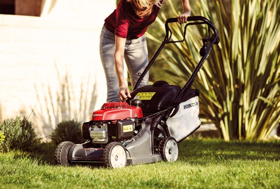 servizio clienti demal